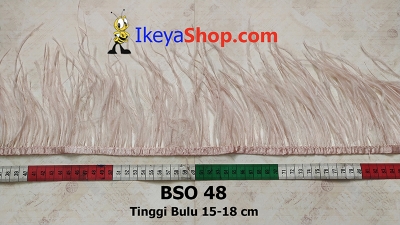 BSO 48  large2